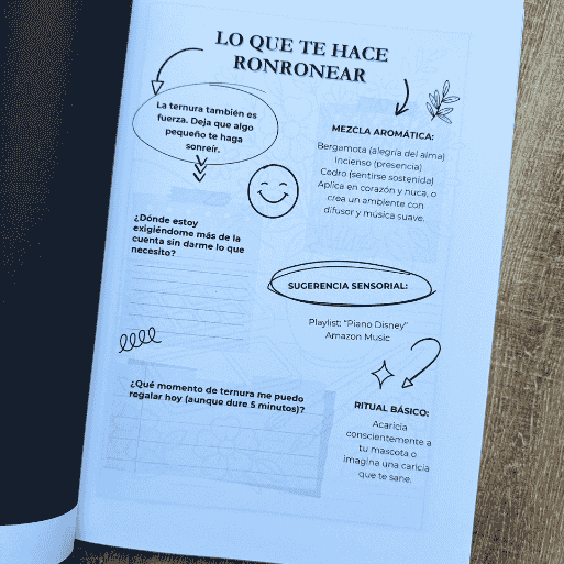 journaling diario colorea en calma mapi letosa zaragoza